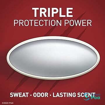 71RLRfaaEkL._AC_CR0000_SX480_SY360_