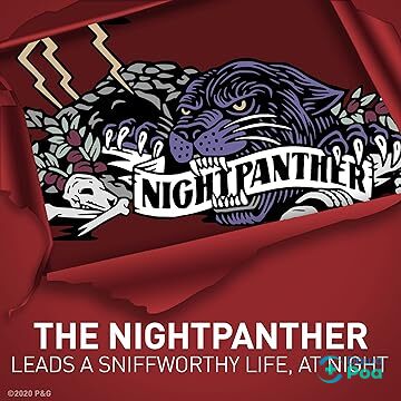 815QsjLxtmL._AC_CR0000_SX480_SY360_