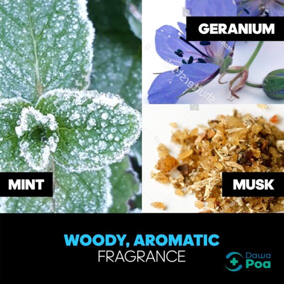 Adidas Ice Dive Eau De Toilette 100ml.2