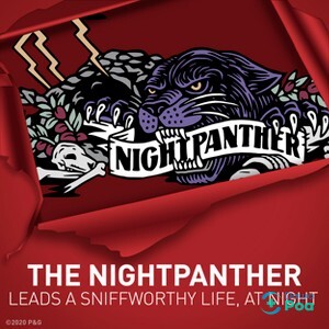 GUEST_ec6f4dcc-5ed8-4b4e-8af8-8fecc27c5954