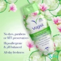 Vagisil Cucumber Magnolia Wash.4